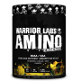 Warrior Labs - Amino Essence 400 g