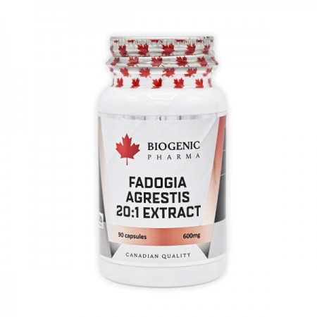 Fadogia Agrestis – BIOGENIC PHARMA 20:1 Extract 90 caps.